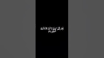 سورة محمد 7 - 10 - ماهر المعيقلي .