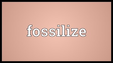 Fossilize Meaning