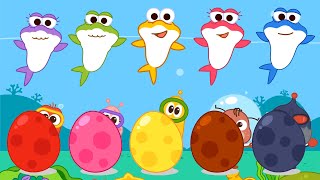 surprise eggs kids songs with shark kids songs and nursery rhymes