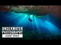 Underwater Photography: A Beginner’s Guide | B&H Event Space