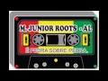 Haughton /  M JUNIOR ROOTS - AL: DIVULGANDO O BOM DO REGGAE