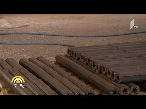 #ახალიდღე რა შეიძლება ჩაენაცვლოს შეშას - ალტერნატიული საწვავი და ტყის გადარჩენის რეალური გზა