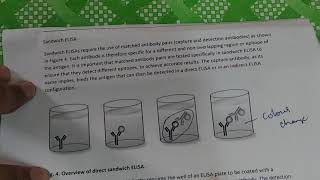 ELISA METHOD | Indirect ELISA METHOD