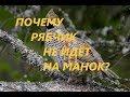 Охота на рябчика- Часть 6:  Почему рябчик не идет на манок?