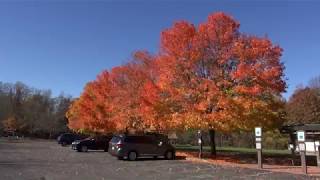 2018 NJ Fall Color Drive