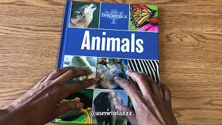 Asmr Page Turning Encyclopaedia Britannica Book Animals No Talking