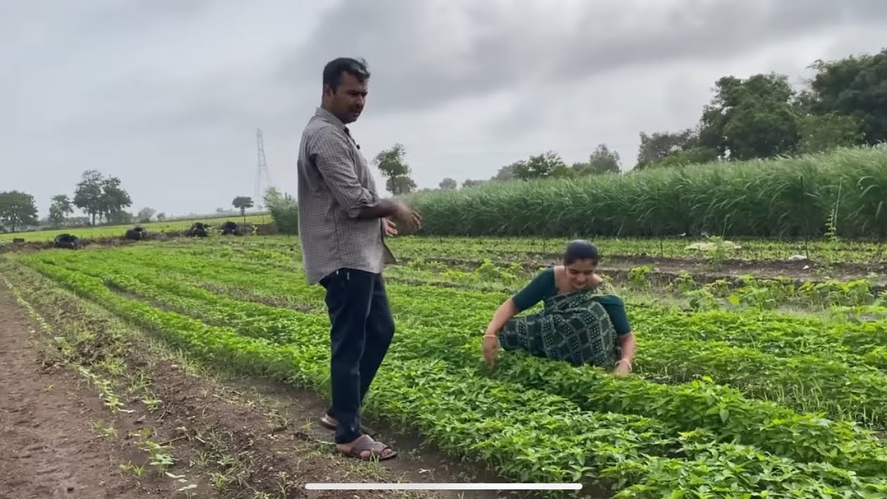 માંડ વરાપથય તો નયના કે મારે ફરવા જાવુ