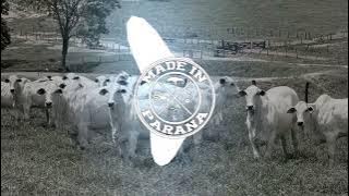 Pronto pro Rolo - Léo e Raphael, Ana Castela (MADE IN PARANÁ EDITION)