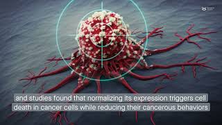 The dual role of microRNA-20b in cancers: friend or foe?
