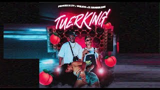 Payaso X Ley ❌ Wolki ❌ Bandolero - Tuerking (Video Oficial)