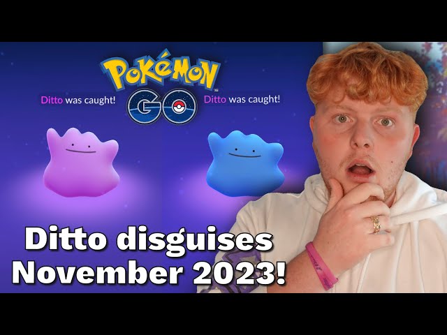 How to catch ditto in Pokemon Go November 2023! Ditto Disguises November  2023 Pokemon Go! 