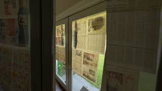 Hacks:  Stopping bird from continuously taping on our window #hacks #birds #bird
