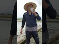 #川﨑宗則 #農業 #川崎宗則 #ムネ米