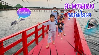 สะพานแดง จุดชมวิวโลมา ตามหาโลมากันที่ จ.สมุทรสาคร | สามหมูซ่าส์ sammoozar