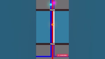 Access Port Vs Trunk Port Simplified || VLAN Tagging And Untagging
