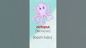 Sea Animals - Từ vựng tiếng Anh Động vật biển #animals #seaanimals #animal #animalsforchildren