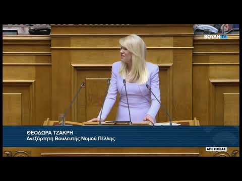 2026-04-23 Θ. Τζάκρη ΣΝ Υπ. Αναπτυξης – Απλουστευση του πλαισιου ασκησης οικονομικων δραστηριοτητων – Video