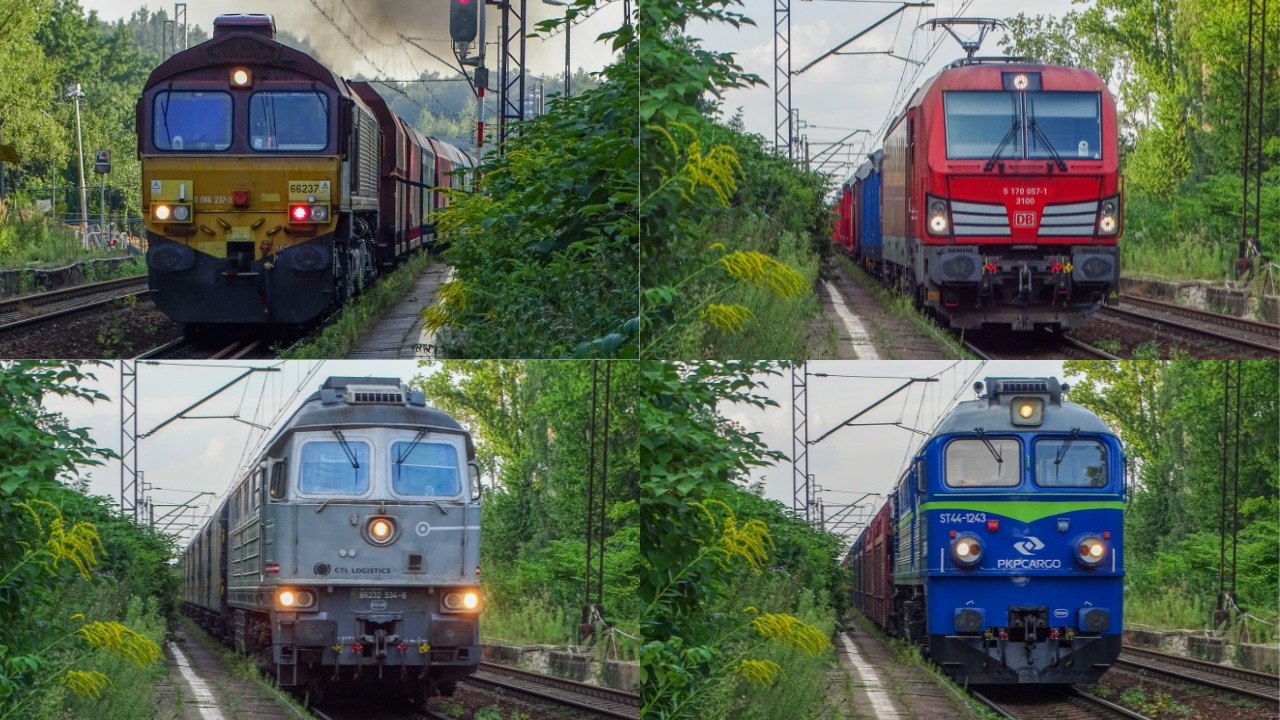 Dziesięć pociągów wśród zarastających peronów Bytomia Północnego | 19.08.2023