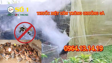 Thuốc diệt côn trùng chuồng gà hiệu quả cao, giảm mầm bệnh | Diệt Mối Tại Nhà