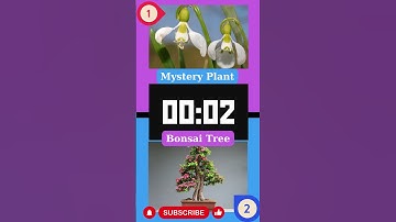 Pick: Would You Rather Best Questions #shorts #wouldyourather #quiz #thisorthat