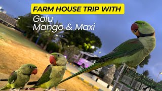 Farm House Trip With Golu Mango Maxi
