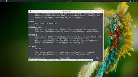 Basic Linux Commands (perintah dasar di Linux): PWD, MKDIR, LS and CD