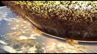 Discovery Channel Large Asteroid Impact Simulation