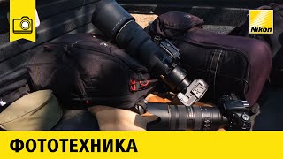 Моя фототехника: Сергей Горшков | Анималистика