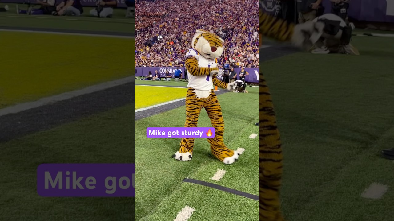 LSU Football’s Mike the Tiger got sturdy 🫡
