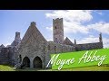 Discover moyne abbey in ireland  access