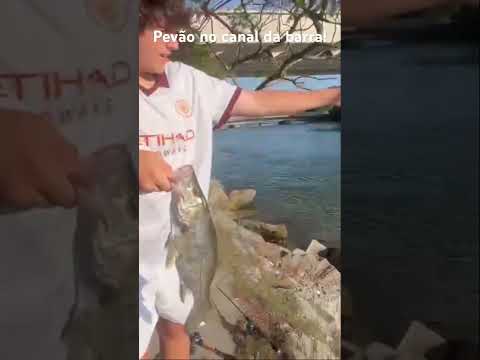 Miniatura do vídeo: Pevão 45cm+ no canal da Barra da Tijuca, só diz que não tem quem não pesca! 👊