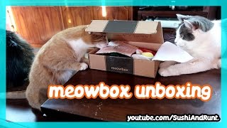 meowbox Unboxing - Cat Subscription Box - Bacon Eggs, March 2017