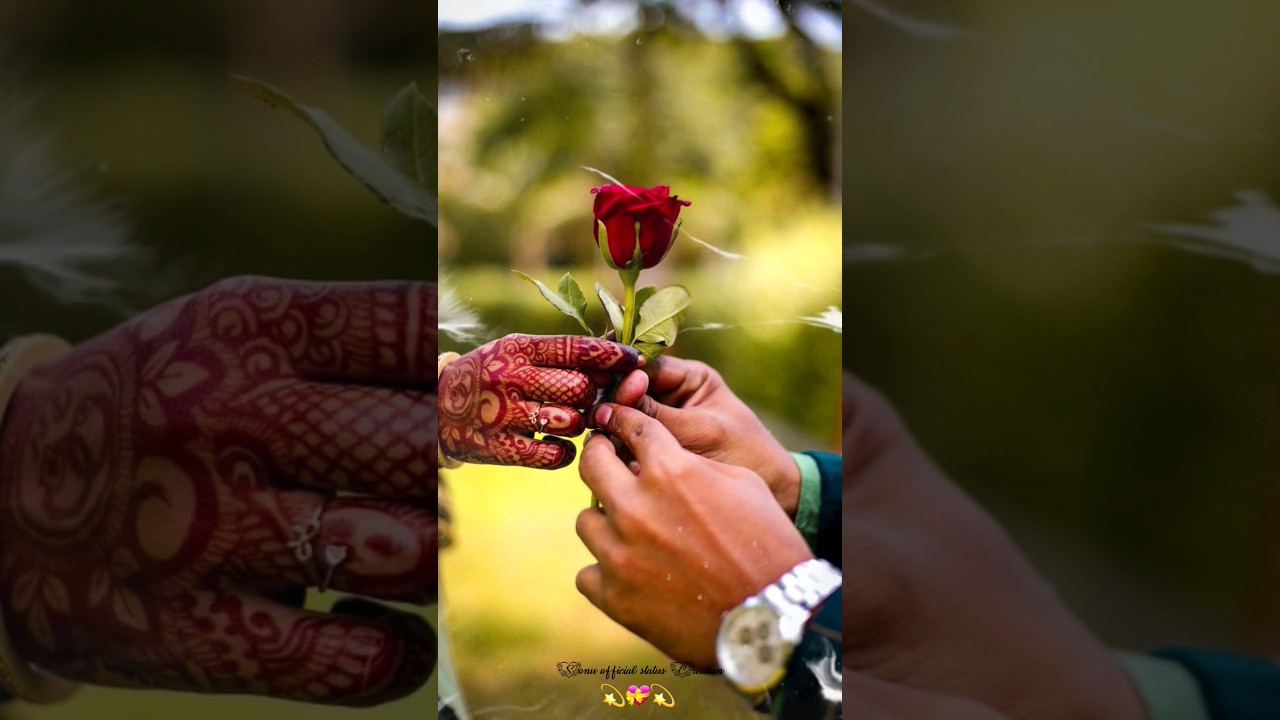 Happy 😊 Promise Day 2024 || Promise Day 🤝 2024 Status Video 