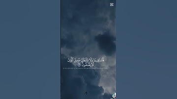 قرآن كريم بصوت جميل يريح القلب #المصحف #اكسبلور #لايك #الرحمن #تيك_توك #قران_كريم