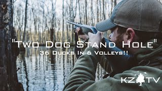 36 Ducks In 6 Volleys!! (Arkansas Swamp Ducks) K ZONE TV: "Two Dog Stand Hole"