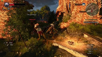 Witcher 3 AMD R7 370 Gameplay FPS Test
