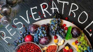 Is Resveratrol The Fountain of Youth?