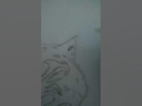 draw leopard fruit - YouTube