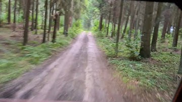 RZR Turbo Off-Road Experience: @PolarisRZRTurbo Forest Adventures