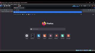 Celebrity DVWA Javascript Lab | Full Lab Walkthrough (Malayalam) |#dvwa #ethicalhacking #education Net Worth