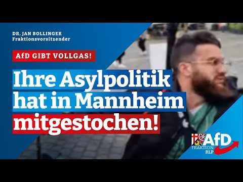 AfD gibt Vollgas: