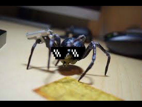 SPIDERS ON CRACK!!! POP A CAP IN HIS A$$