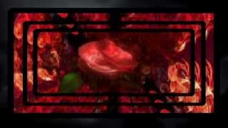 Love Hurts with Lyrics