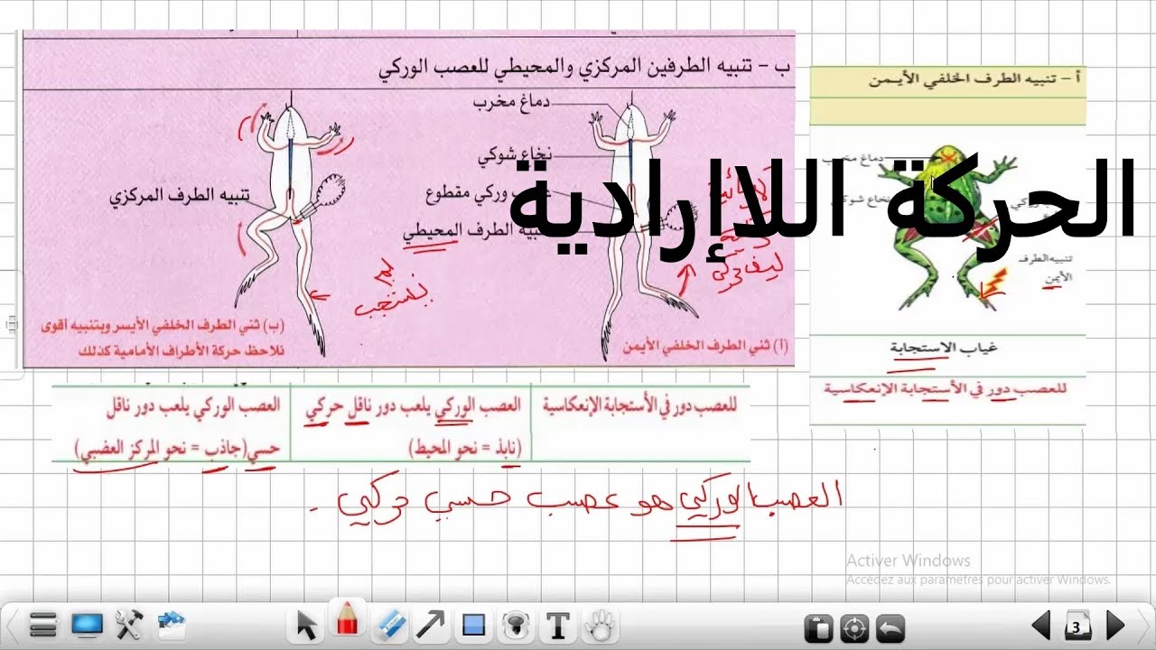 الحركة اللاارادية علوم طبيعية السنة الرابعة متوسط درس 6