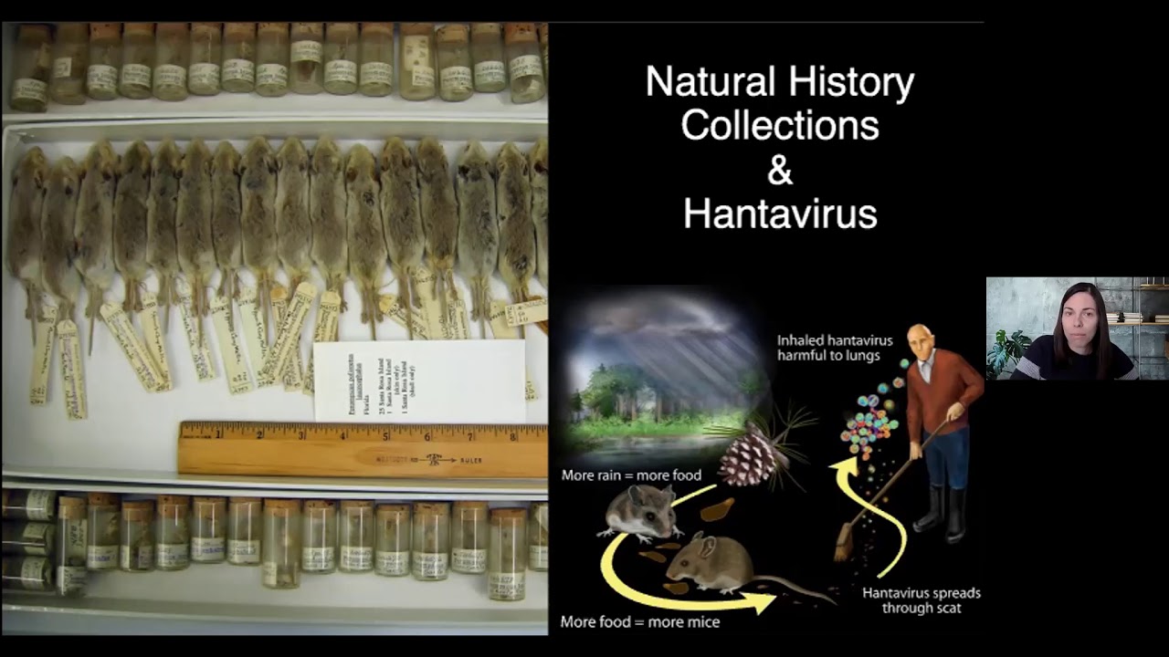 ECSS 2021: Jocelyn Colella, U New Hampshire; Kelly Speer, Smithsonian Institute of Conservation Bio