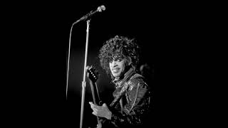 D.M.S.R. (First Ave, 8-3-83) - Prince