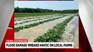 Easthampton farms faces ‘worst-case scenario’ after recent flooding