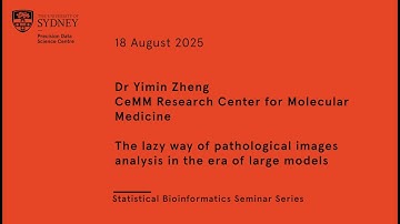 The lazy way of pathological images analysis in the era of large models