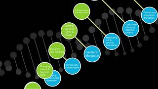 23 and You: How many traits of digital DNA does your company have?