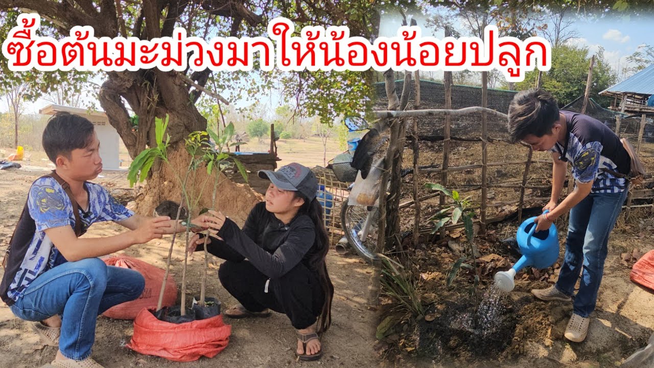 ไม่คิดว่าน้องน้อยจะพูดแบบนี้บ่าวนิวยังจะมีหวังอยู่ไหม🥹 7 มีนาคม ค.ศ. 2026